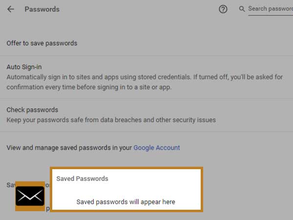 Google Chrome Saved passwords