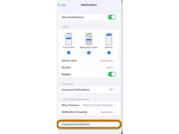 Select Customize Notifications