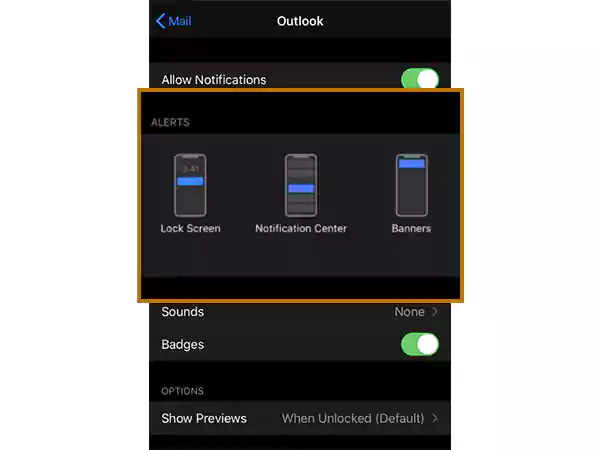 Select one of the Alert options